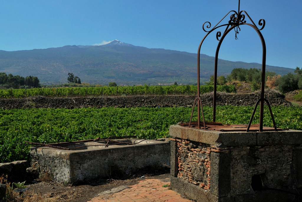 Cantine Valenti