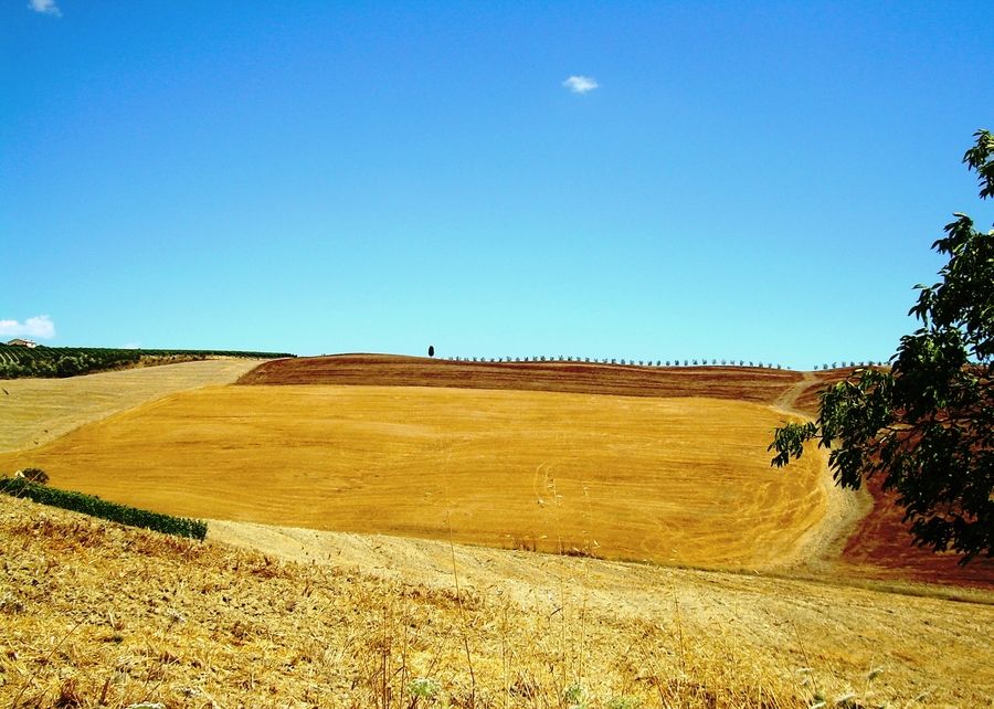 azienda-02