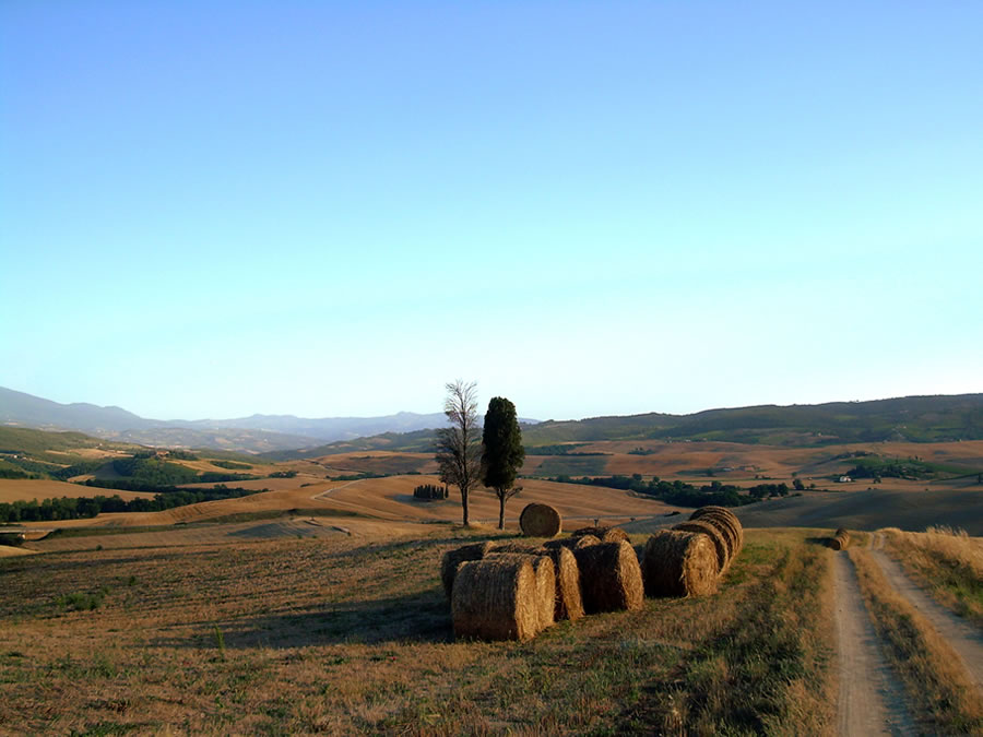 azienda-04