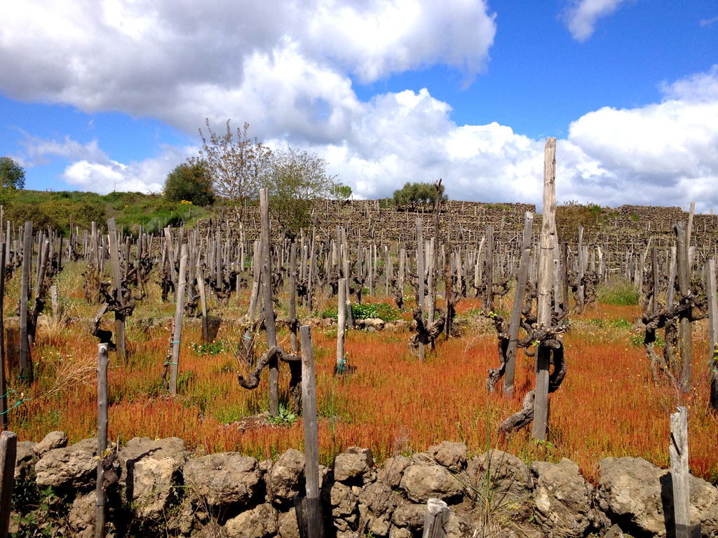 guardiola etna