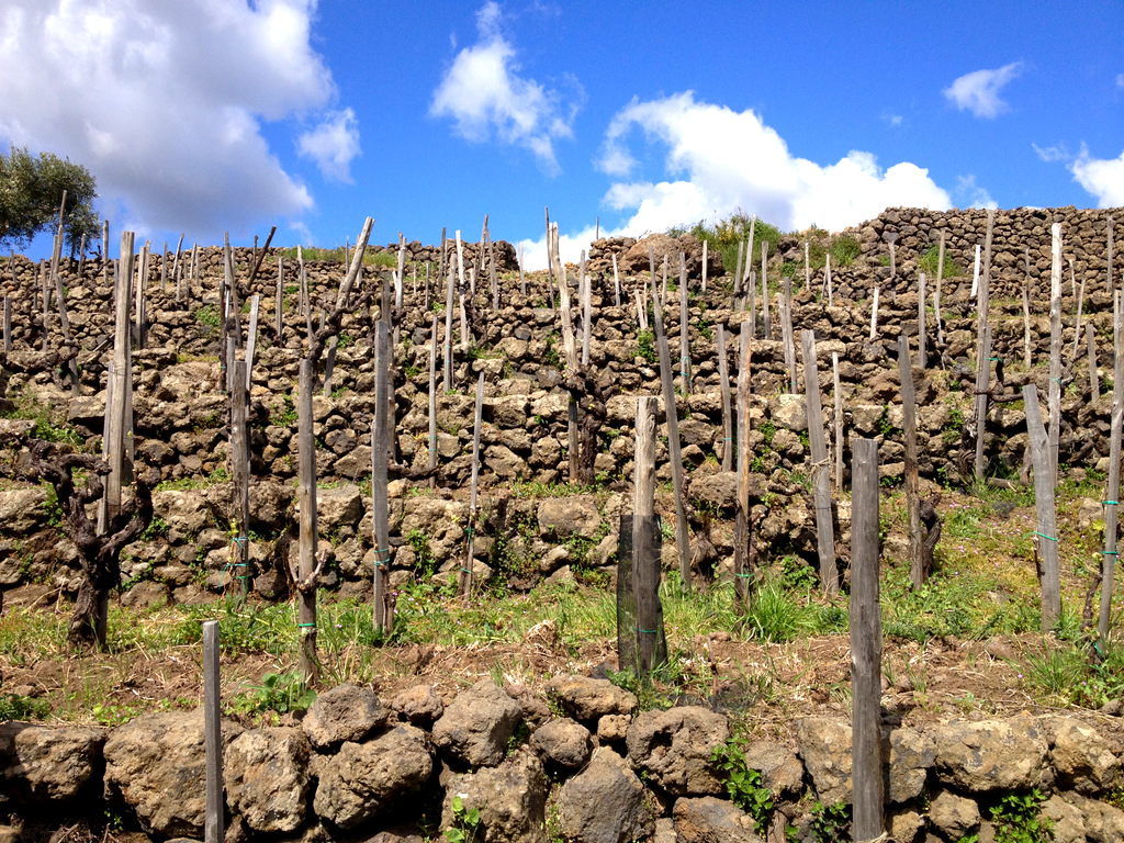 guardiola etna